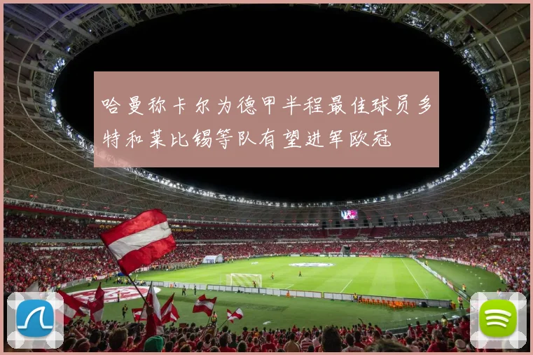 哈曼称卡尔为德甲半程最佳球员多特和莱比锡等队有望进军欧冠
