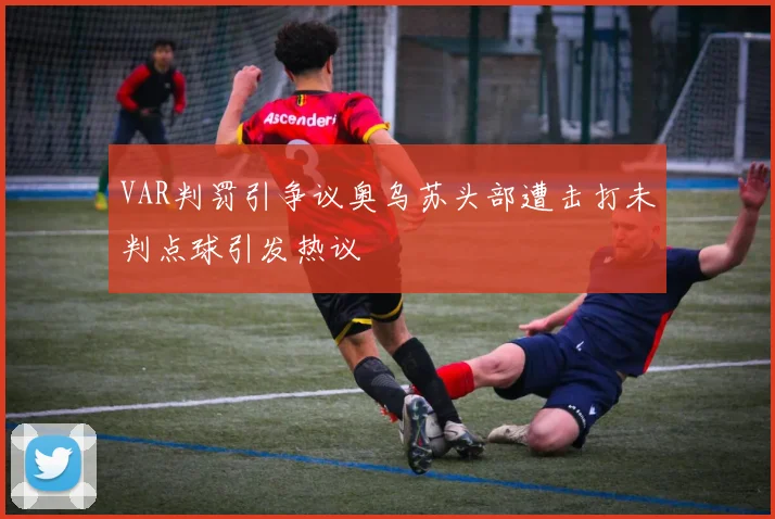 VAR判罚引争议奥乌苏头部遭击打未判点球引发热议